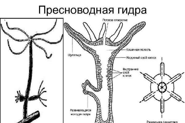 Покупка биткоина с карты сбербанка на блэкспрут