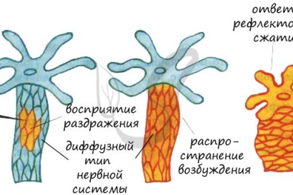 Kraken ссылка рабочая